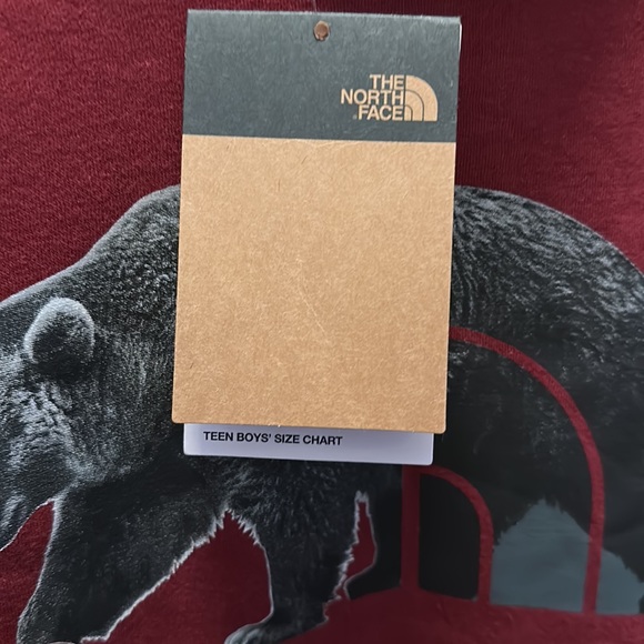 The North Face Kids Camp Fleece Pullover Hoodie - Picture 9 of 13